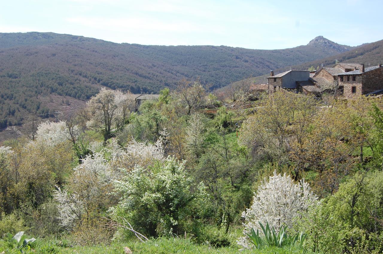 Apartamentos Turisticos La Alqueria De Valverde Valverde De Los Arroyos Bagian luar foto